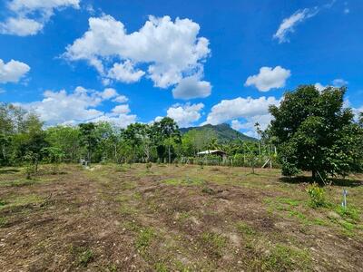 ขาย - ขายที่ดิน 3-3-45 ไร่ วิวภูเขา พร้อมสวนผลไม้ ทางไปหมู่บ้านคีรีวง ถมแล้ว ลอมรั้วแล้ว อ.ลานสกา, นครศรีธรรมราช