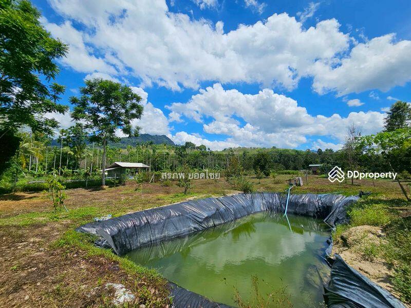 For Sale - ขายที่ดิน 3-3-45 ไร่ วิวภูเขา พร้อมสวนผลไม้ ทางไปหมู่บ้านคีรีวง ถมแล้ว ลอมรั้วแล้ว อ.ลานสกา, Nakhon Si Thammarat