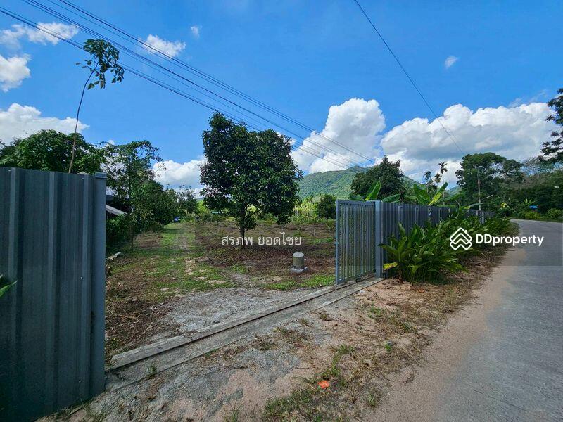 For Sale - ขายที่ดิน 3-3-45 ไร่ วิวภูเขา พร้อมสวนผลไม้ ทางไปหมู่บ้านคีรีวง ถมแล้ว ลอมรั้วแล้ว อ.ลานสกา, Nakhon Si Thammarat