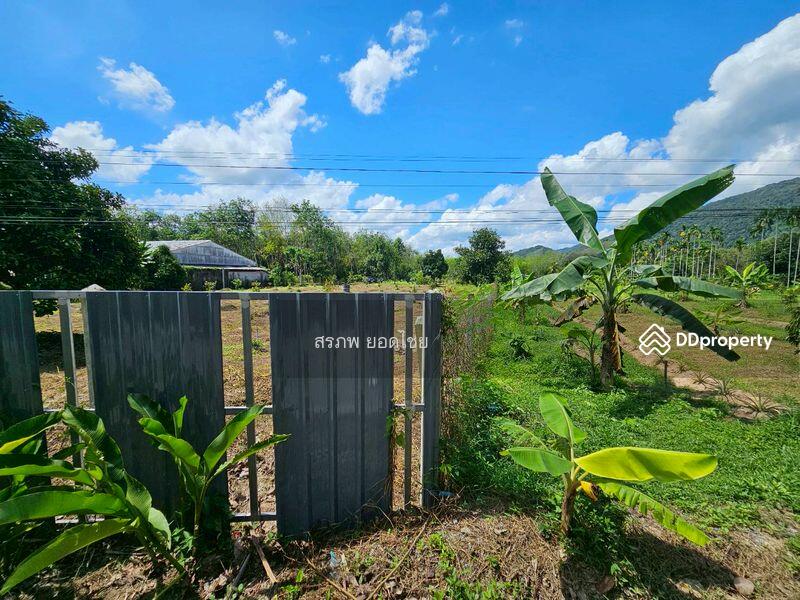 For Sale - ขายที่ดิน 3-3-45 ไร่ วิวภูเขา พร้อมสวนผลไม้ ทางไปหมู่บ้านคีรีวง ถมแล้ว ลอมรั้วแล้ว อ.ลานสกา, Nakhon Si Thammarat