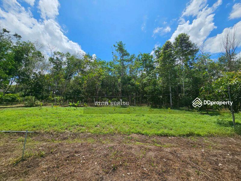 For Sale - ขายที่ดิน 3-3-45 ไร่ วิวภูเขา พร้อมสวนผลไม้ ทางไปหมู่บ้านคีรีวง ถมแล้ว ลอมรั้วแล้ว อ.ลานสกา, Nakhon Si Thammarat