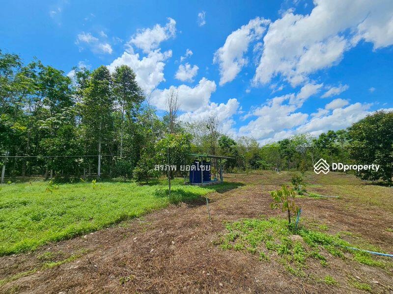 For Sale - ขายที่ดิน 3-3-45 ไร่ วิวภูเขา พร้อมสวนผลไม้ ทางไปหมู่บ้านคีรีวง ถมแล้ว ลอมรั้วแล้ว อ.ลานสกา, Nakhon Si Thammarat