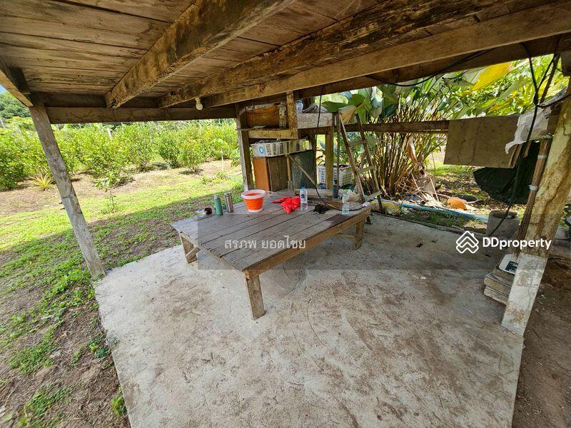 For Sale - ขายที่ดิน 3-3-45 ไร่ วิวภูเขา พร้อมสวนผลไม้ ทางไปหมู่บ้านคีรีวง ถมแล้ว ลอมรั้วแล้ว อ.ลานสกา, Nakhon Si Thammarat