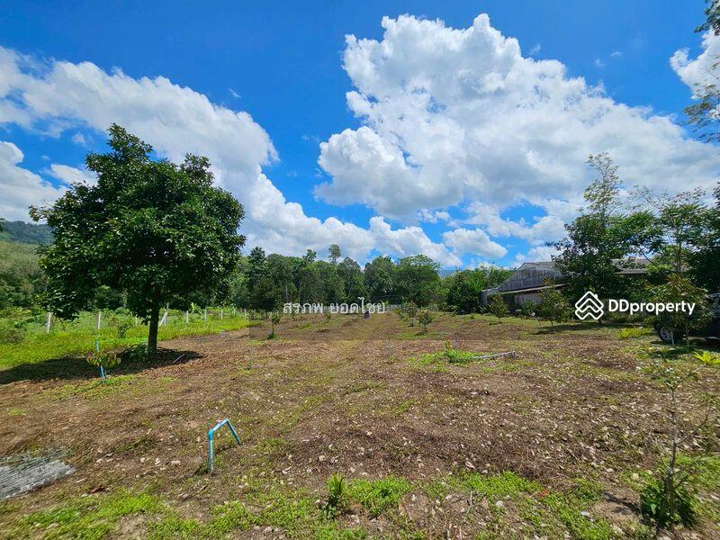 For Sale - ขายที่ดิน 3-3-45 ไร่ วิวภูเขา พร้อมสวนผลไม้ ทางไปหมู่บ้านคีรีวง ถมแล้ว ลอมรั้วแล้ว อ.ลานสกา, Nakhon Si Thammarat