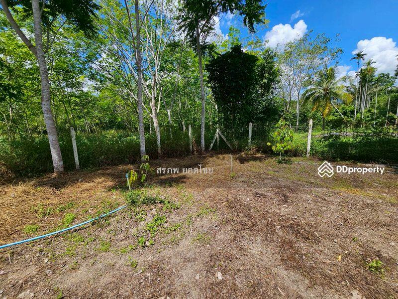 For Sale - ขายที่ดิน 3-3-45 ไร่ วิวภูเขา พร้อมสวนผลไม้ ทางไปหมู่บ้านคีรีวง ถมแล้ว ลอมรั้วแล้ว อ.ลานสกา, Nakhon Si Thammarat
