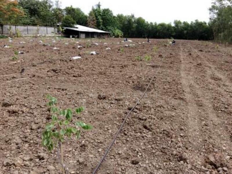 ขาย - ที่ดินบนเส้นถนนเรียบคลองสาม คลองหลวง ปทุมธานี, ปทุมธานี