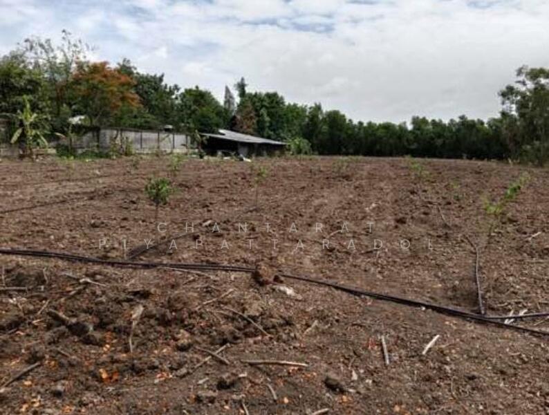 ขาย - ที่ดินบนเส้นถนนเรียบคลองสาม คลองหลวง ปทุมธานี, ปทุมธานี