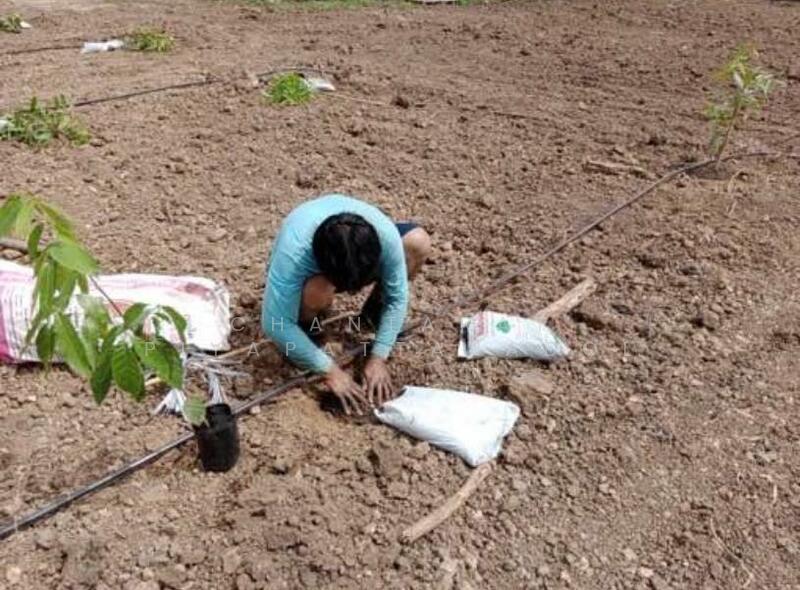 ขาย - ที่ดินบนเส้นถนนเรียบคลองสาม คลองหลวง ปทุมธานี, ปทุมธานี