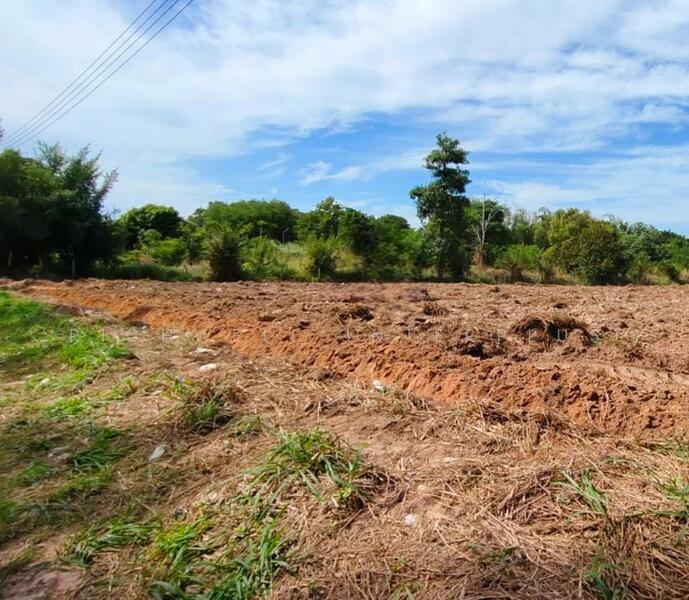 Land for Sale in Bowin 5 Rai | Prime Location near Eastern Seaboard Industrial Estate, Chon Buri (Pattaya), Bo Win, Si Racha, Chon Buri (Pattaya), , 8,000 sqm, Land For Sale, by RICHWELL INTERPLUS, 11853415 - DDproperty.com