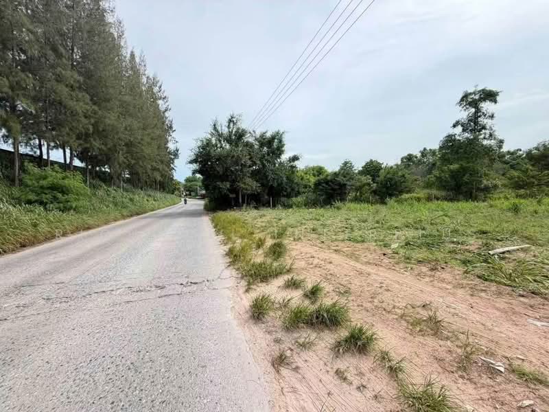 Land for Sale in Bowin 5 Rai | Prime Location near Eastern Seaboard Industrial Estate, Chon Buri (Pattaya), Bo Win, Si Racha, Chon Buri (Pattaya), , 8,000 sqm, Land For Sale, by RICHWELL INTERPLUS, 11853415 - DDproperty.com