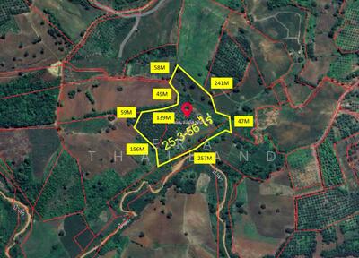 ขาย - ขายที่ดิน หล่มเก่า เพชรบูรณ์ 25 ไร่ 3 งาน 56 ตรว ใกล้ วัดโพธิ์ตาก, เพชรบูรณ์