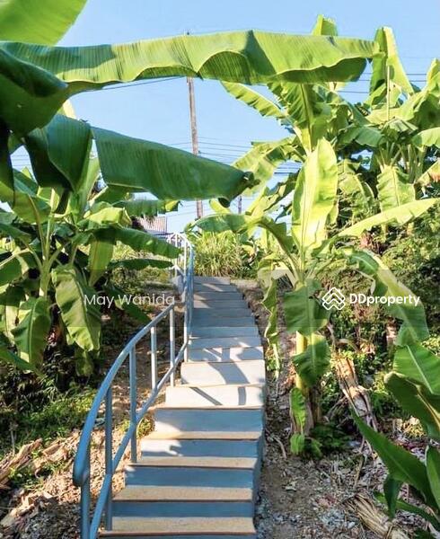 ให้เช่า - 4 Bedrooms Private Pool Sea View Villa for Rent, ภูเก็ต