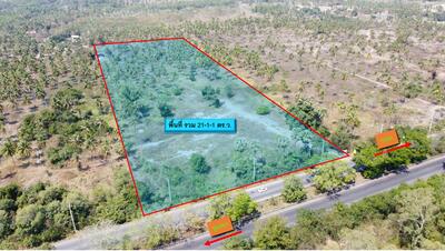 ขาย - ที่ดินติดถนนเพชรเกษม ขาขึ้น ต.ห้วยทราย อ.เมืองประจวบคีรีขันธ์, ประจวบคีรีขันธ์