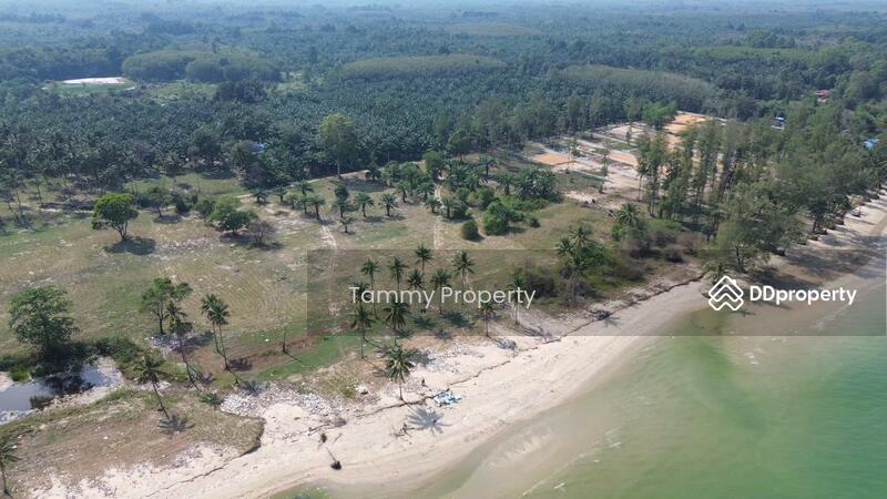 For Sale - Urgent! 14 Rai Beachfront – Khanthuli, Surat Thani. Sea view, clear water. Rare investor deal!, Surat Thani