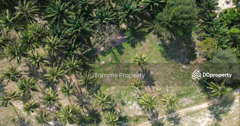 For Sale - Urgent! 14 Rai Beachfront – Khanthuli, Surat Thani. Sea view, clear water. Rare investor deal!, Surat Thani