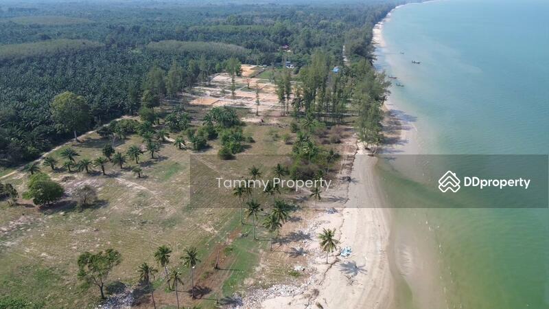 For Sale - Urgent! 14 Rai Beachfront – Khanthuli, Surat Thani. Sea view, clear water. Rare investor deal!, Surat Thani