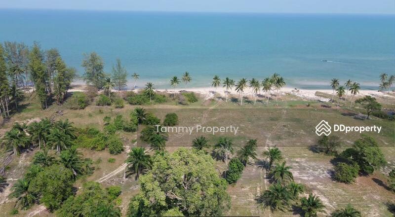 For Sale - Urgent! 14 Rai Beachfront – Khanthuli, Surat Thani. Sea view, clear water. Rare investor deal!, Surat Thani