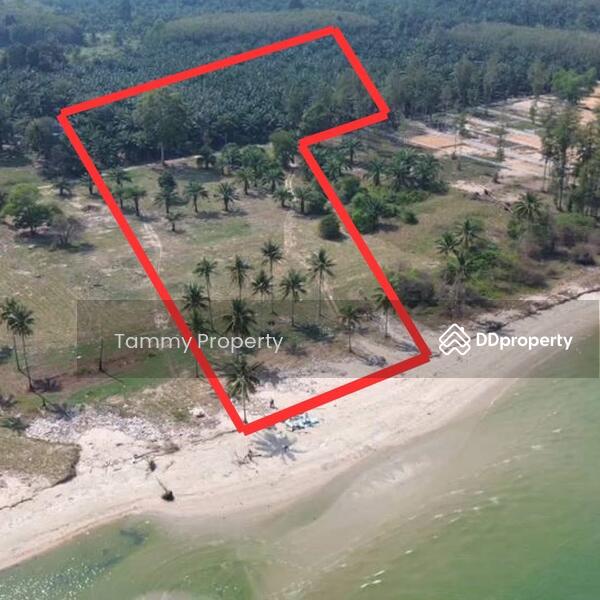 For Sale - Urgent! 14 Rai Beachfront – Khanthuli, Surat Thani. Sea view, clear water. Rare investor deal!, Surat Thani