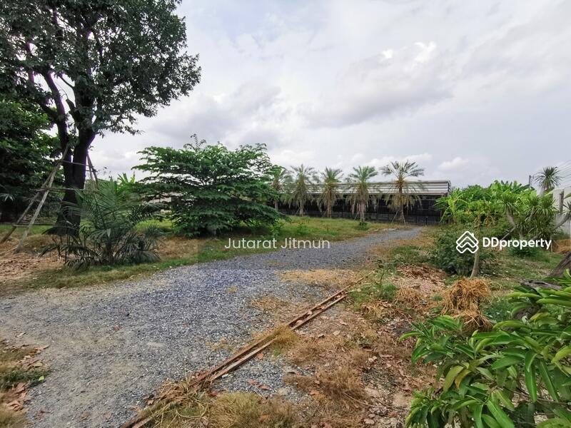ขาย - บ้านพร้อมโกดัง ลาดกระบัง ฉลองกรุง, กรุงเทพ