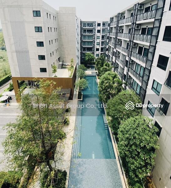 ให้เช่า - The Issara เชียงใหม่, เชียงใหม่