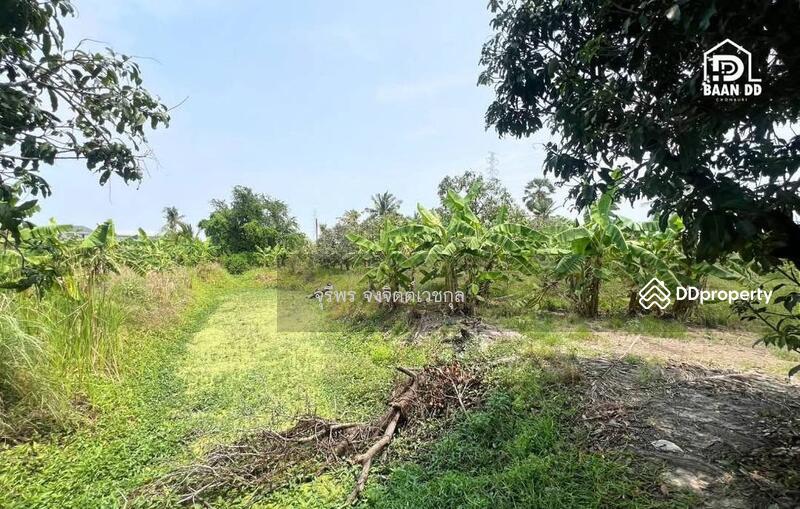 For Sale - Bangsaen Land for Sale, Chon Buri