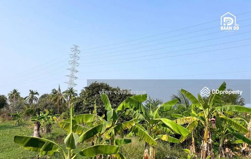 For Sale - Bangsaen Land for Sale, Chon Buri