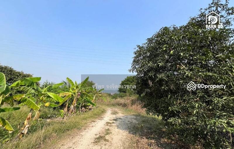 For Sale - Bangsaen Land for Sale, Chon Buri