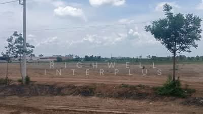 ขาย - ขายที่ดินพนมสารคาม 23 ไร่ ทำเลดี ติดถนนเส้นสัตหีบ-พนมสารคาม(331) เกาะขนุน, ฉะเชิงเทรา