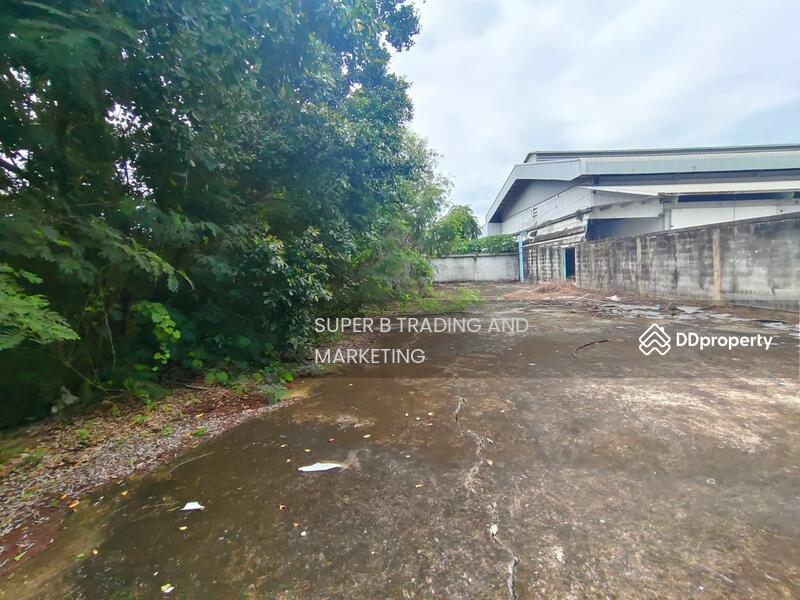 For Sale - For sale: Office building, 7 rai 60.1 sq.wa., Sai Noi, Nonthaburi, Nonthaburi