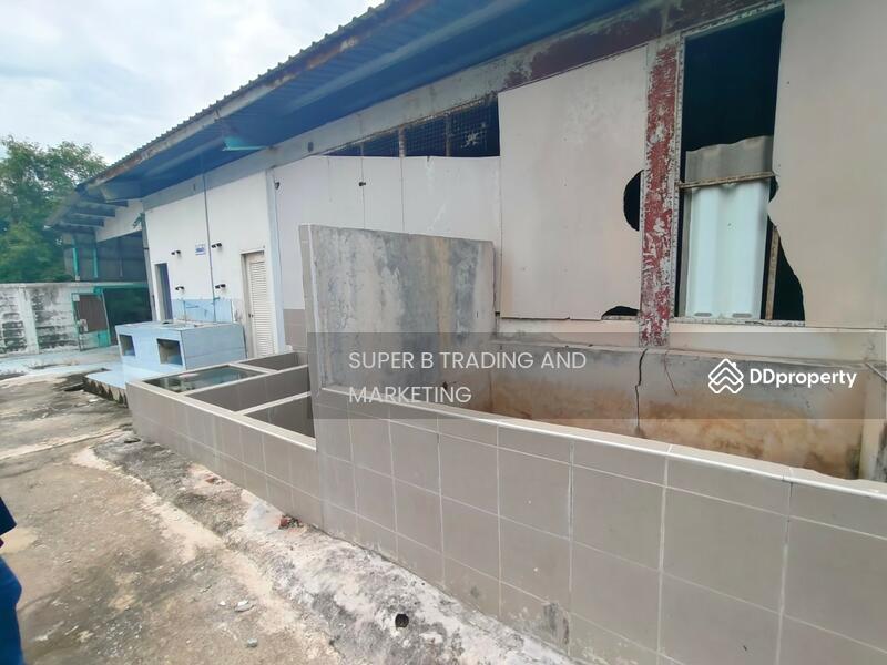 For Sale - For sale: Office building, 7 rai 60.1 sq.wa., Sai Noi, Nonthaburi, Nonthaburi