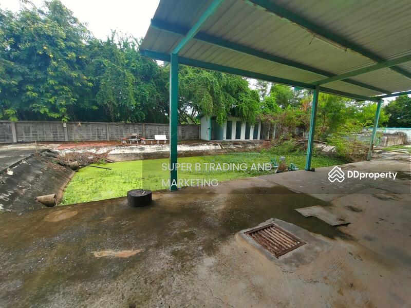 For Sale - For sale: Office building, 7 rai 60.1 sq.wa., Sai Noi, Nonthaburi, Nonthaburi
