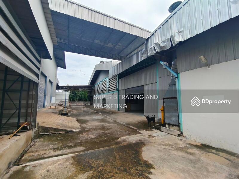 For Sale - For sale: Office building, 7 rai 60.1 sq.wa., Sai Noi, Nonthaburi, Nonthaburi