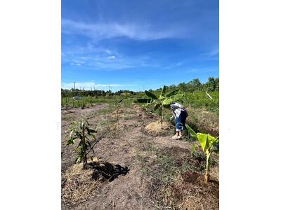 ขาย - ขาย ที่ดิน 1 ไร่ ถนนเลียบคลอง11 หนองเสือ ปทุมธานี, ปทุมธานี