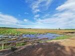 ขายที่นาราชสาสน์ 10 ไร่ ติดถนนติดคลอง ใกล้ถนนเส้น 3444 - 4 กม. บางคา, ฉะเชิงเทรา