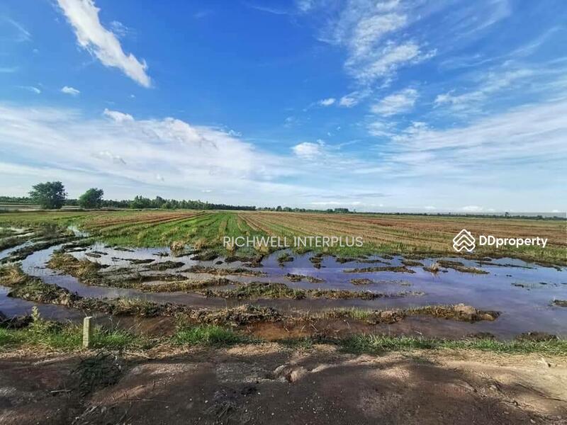 ขาย - ขายที่นาราชสาสน์ 10 ไร่ ติดถนนติดคลอง ใกล้ถนนเส้น 3444 - 4 กม. บางคา, ฉะเชิงเทรา