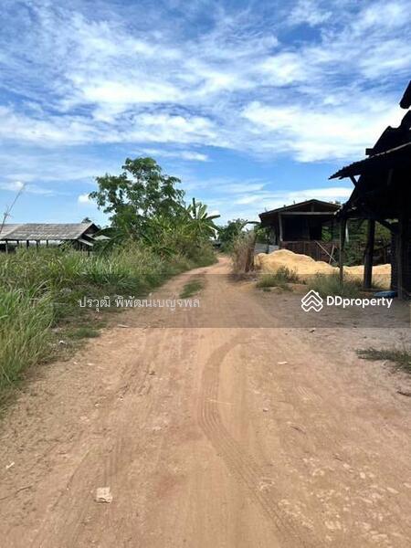 ขาย - 13220, พระนครศรีอยุธยา