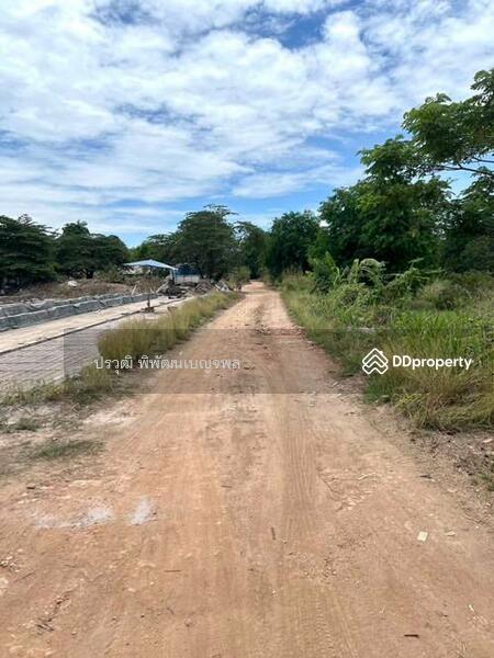 ขาย - 13220, พระนครศรีอยุธยา