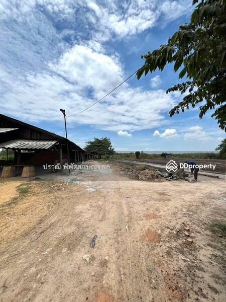 ขาย - 13220, พระนครศรีอยุธยา