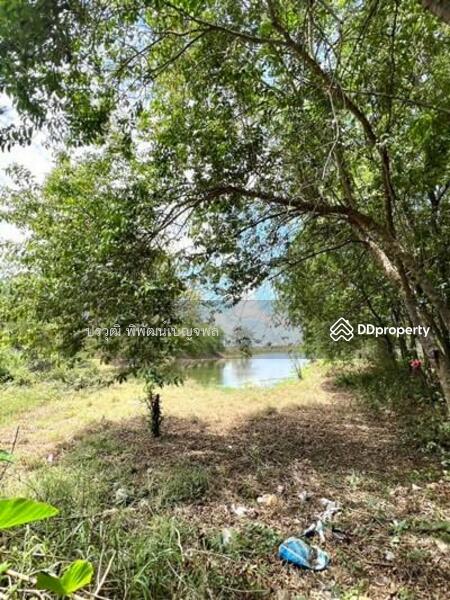 ขาย - 13220, พระนครศรีอยุธยา