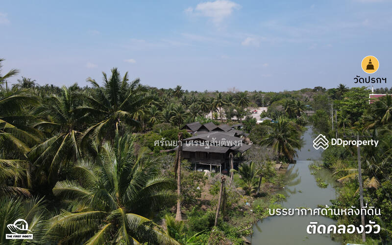 ขาย - ที่ดินอัมพวา, สมุทรสงคราม