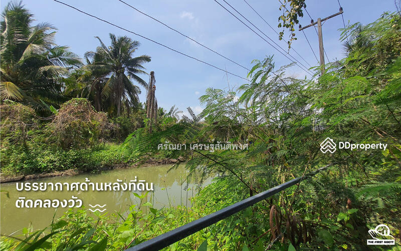 ขาย - ที่ดินอัมพวา, สมุทรสงคราม