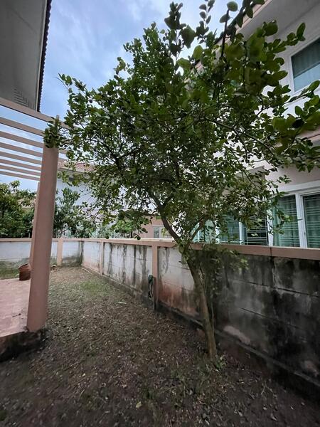 ขายบ้านเดี่ยว สุรนารี โคราช ใกล้เซ็นทรัลโคราช & ทางด่วน M6 เดอะ เซ็นทรัล พาร์, Nakhon Ratchasima, สุรนารี, Nong Krathum, Muang Nakhon Ratchasima, Nakhon Ratchasima, 4 Bedrooms, 200 sqm, Single Detached House For Sale, by คุณเอ็มมี่, 11859634 - DDproperty.com