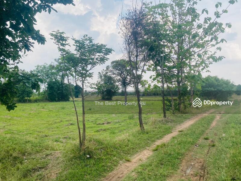 ขาย - ที่ดินหนองบุญมาก นครราชสีมา, นครราชสีมา