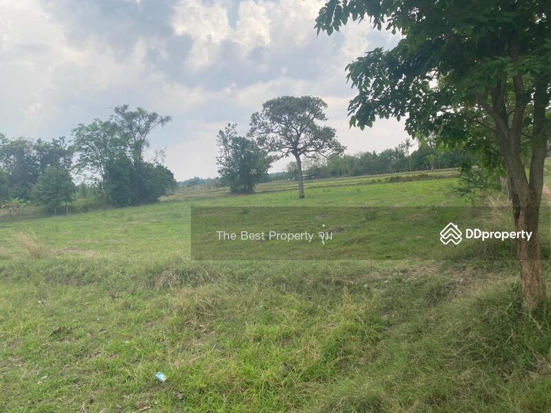 For Sale - ที่ดินหนองบุญมาก นครราชสีมา, Nakhon Ratchasima