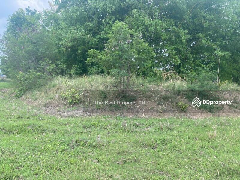 For Sale - ที่ดินหนองบุญมาก นครราชสีมา, Nakhon Ratchasima