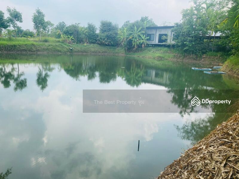 ขาย - ที่ดินหนองบุญมาก นครราชสีมา, นครราชสีมา