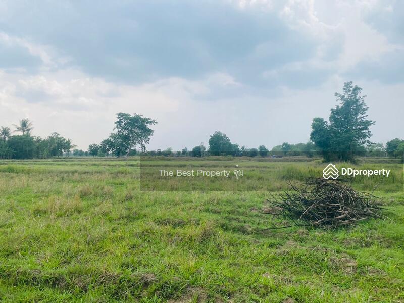 For Sale - ที่ดินหนองบุญมาก นครราชสีมา, Nakhon Ratchasima