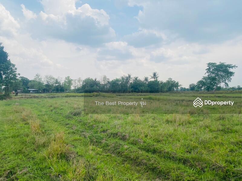 For Sale - ที่ดินหนองบุญมาก นครราชสีมา, Nakhon Ratchasima