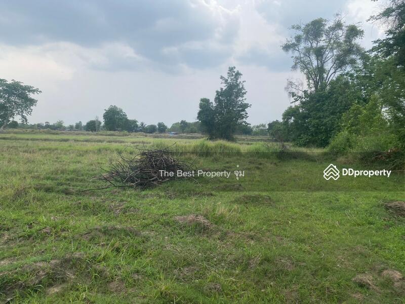 ขาย - ที่ดินหนองบุญมาก นครราชสีมา, นครราชสีมา