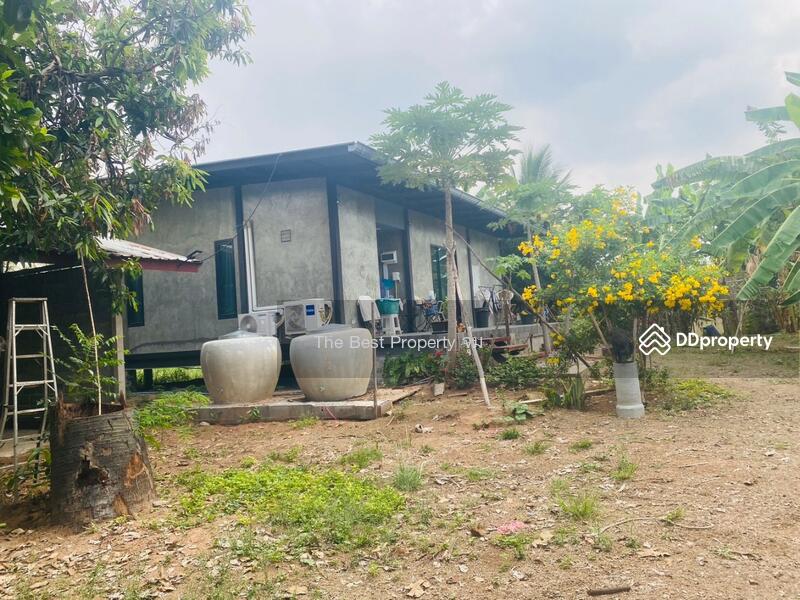 ขาย - ที่ดินหนองบุญมาก นครราชสีมา, นครราชสีมา